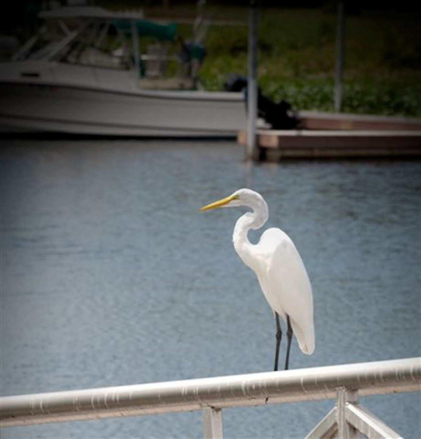 Hampton Inn Okeechobee - Lake Okeechobee Kültér fotó